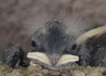 20110703etc-1.JPG