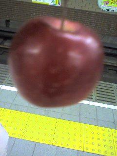 20051114apple.jpg